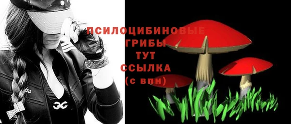 твердый Каменногорск