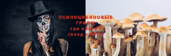 синтетический гашиш Каменка